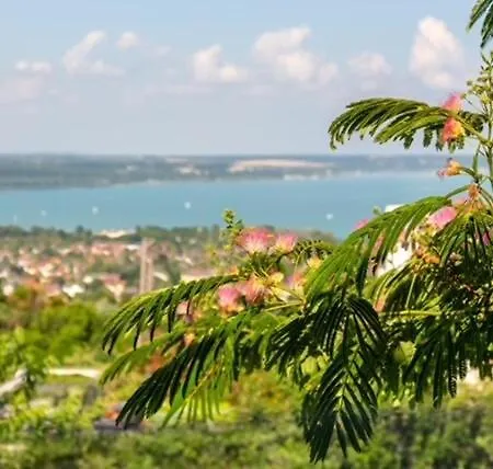 Azur - Panoramic Escape Балатональмади