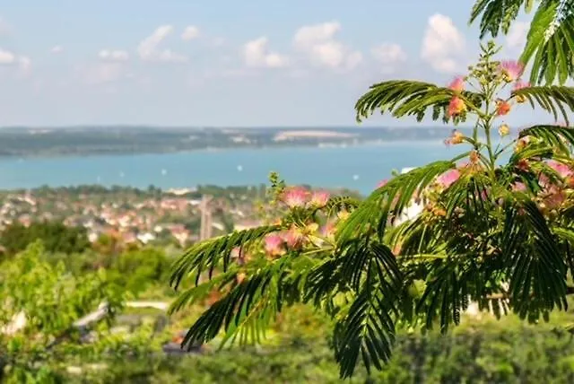 Azur - Panoramic Escape Balatonalmadi